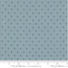 Campanule - French Blue