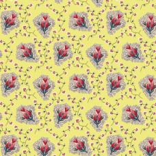 Peasholme Green - Cordelia