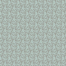 Peasholme Green - Viola